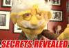 show you the secret world of Professor Puppet