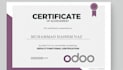 do odoo accounting setup, chart of accounts and odoo bookkeeping