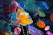 create exclusive abstract art and illustrations