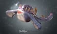 create next level 3d creature designs with full detailing