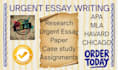 do urgent essay writing as an essay writer