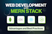 develop a modern ecommerce website using mern stack