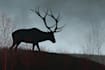 design dark art animal illustration