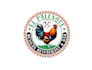 create awesome and gorgeous rooster logo design