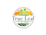 create wonderful and excellent microgreen logo design