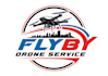 design wonderful drone logo