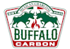 design a modern buffalo logo