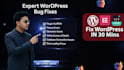 fix wordpress bugs, errors, elementor, and woocommerce issues