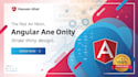 develop and help with your angular web application