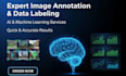 do image annotation, data labeling, segmentation, ai services, machine learning