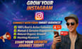 organically grow your instagram account