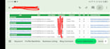 optimize your website with professional SEO strategies