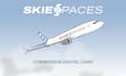 create a branding and livery poster for your fav airline