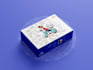 design professional and modern box packaging