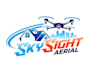 create a modern drone logo with unlimited revision