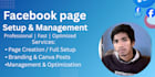 provide professional facebook page management and growth service