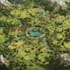 draw a wonderful custom fantasy map