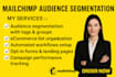 segment mailchimp audience with tag and groups for ecommerce