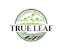create wonderful and excellent microgreen logo design