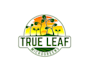 create wonderful and excellent microgreen logo design