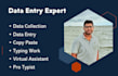 do excel data entry, data entry, PDF to excel data entry, website data entry