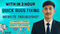 fix PHP bugs and troubleshoot your website in 24 hours