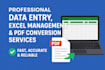 excel data management, data entry, PDF conversion