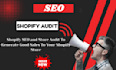 do shopify store audit, product SEO and conversion optimization