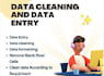 do data entry and clean excel data