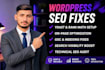 fix wordpress SEO issues to improve site visibility