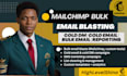 do bulk email blast send bulk mailchimp cold email campaign cold dm and SMS