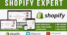 make a 20k passive income shopify store dropshipping store or shopify website