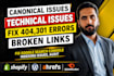 fix 404, 301, broken links, console errors, indexing and canonical issues