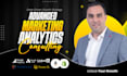 offer expert marketing analytics strategy and guidance