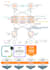 design and configure secure enterprise networks