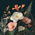 create a botanical illustration