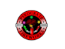 create professional and specially firework logo design