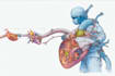 do medical and scientific illustrations