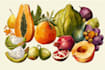 illustrate digitally realistic fruits or veggies