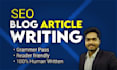 be SEO content writing, blog writing, article writing  hindi