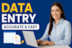 provide fast and reliable data entry services