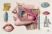 do medical and scientific illustrations