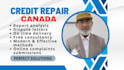 be a credit repair consultant for canada
