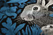 draw an animal and botanical illustration