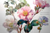 create a botanical watercolor illustration