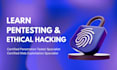 provide penetration testing session