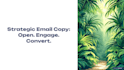 write high conversion email newsletters for your business