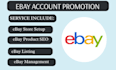 create ebay seller account, ebay setup, do ebay listing, ebay VA, ebay promotion