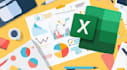 provide fast and accurate excel data entry and PDF conversion