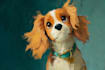 draw disney pet portrait